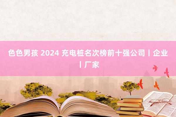 色色男孩 2024 充电桩名次榜前十强公司丨企业丨厂家