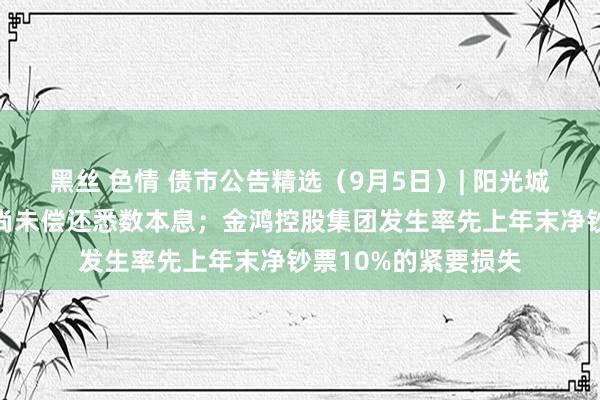 黑丝 色情 债市公告精选（9月5日）| 阳光城到期好意思元单据尚未偿还悉数本息；金鸿控股集团发生率先上年末净钞票10%的紧要损失