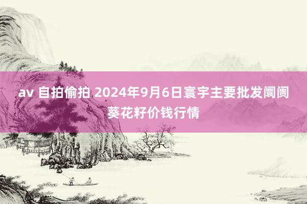 av 自拍偷拍 2024年9月6日寰宇主要批发阛阓葵花籽价钱行情