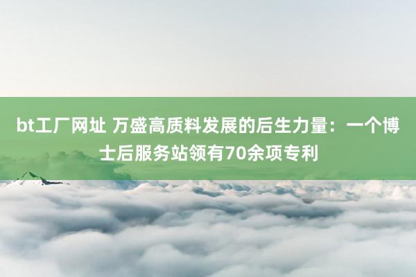 bt工厂网址 万盛高质料发展的后生力量：一个博士后服务站领有70余项专利