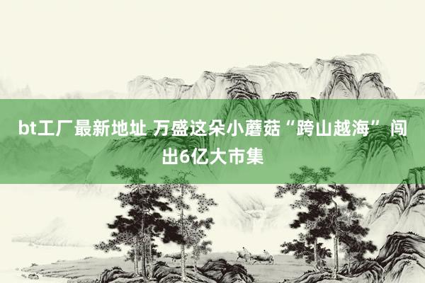 bt工厂最新地址 万盛这朵小蘑菇“跨山越海” 闯出6亿大市集