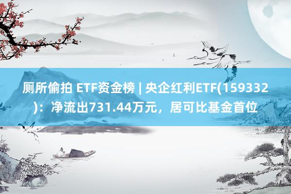 厕所偷拍 ETF资金榜 | 央企红利ETF(159332)：净流出731.44万元，居可比基金首位