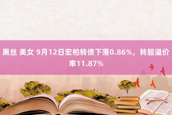 黑丝 美女 9月12日宏柏转债下落0.86%，转股溢价率11.87%