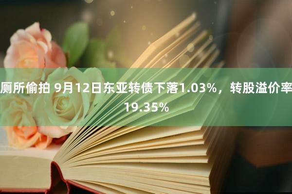 厕所偷拍 9月12日东亚转债下落1.03%，转股溢价率19.35%