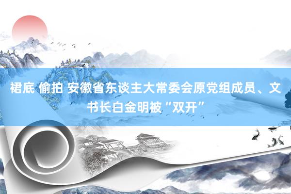 裙底 偷拍 安徽省东谈主大常委会原党组成员、文书长白金明被“双开”