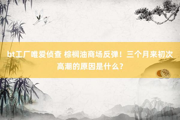 bt工厂唯爱侦查 棕榈油商场反弹！三个月来初次高潮的原因是什么？