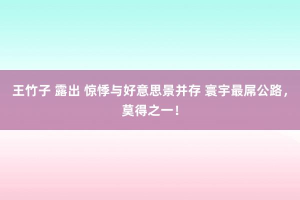 王竹子 露出 惊悸与好意思景并存 寰宇最屌公路，莫得之一！