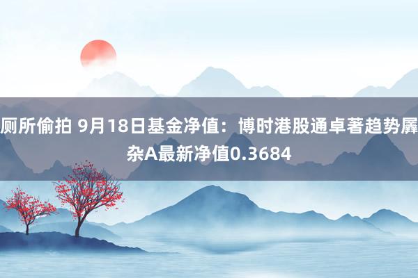 厕所偷拍 9月18日基金净值：博时港股通卓著趋势羼杂A最新净值0.3684