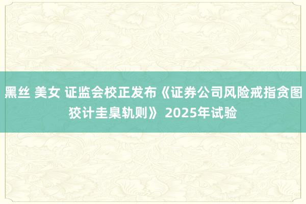 黑丝 美女 证监会校正发布《证券公司风险戒指贪图狡计圭臬轨则》 2025年试验