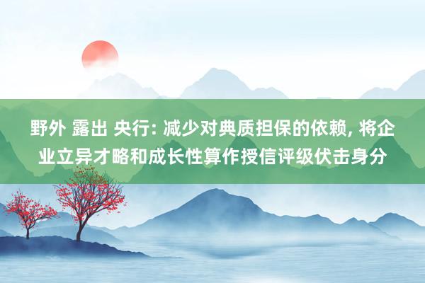 野外 露出 央行: 减少对典质担保的依赖， 将企业立异才略和成长性算作授信评级伏击身分