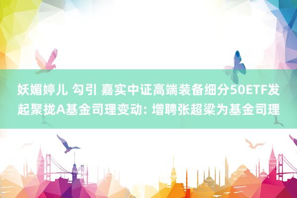 妖媚婷儿 勾引 嘉实中证高端装备细分50ETF发起聚拢A基金司理变动: 增聘张超梁为基金司理