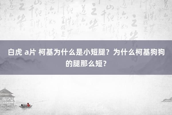 白虎 a片 柯基为什么是小短腿？为什么柯基狗狗的腿那么短？