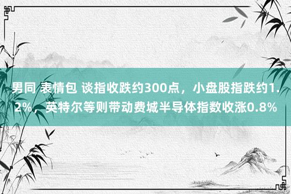 男同 表情包 谈指收跌约300点，小盘股指跌约1.2%，英特尔等则带动费城半导体指数收涨0.8%