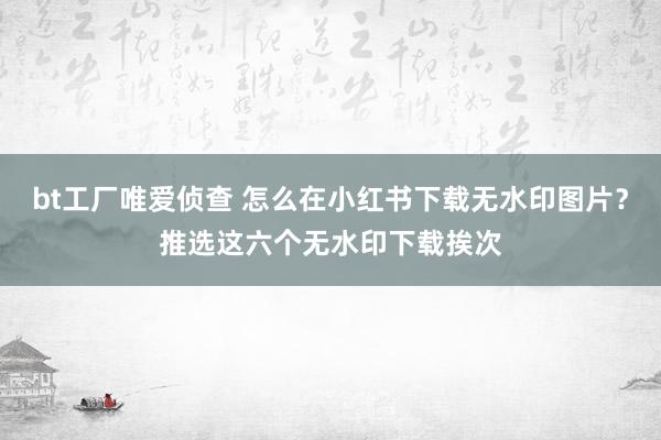 bt工厂唯爱侦查 怎么在小红书下载无水印图片？推选这六个无水印下载挨次