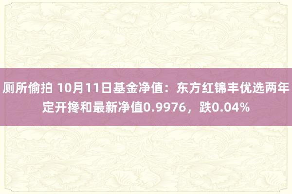 厕所偷拍 10月11日基金净值：东方红锦丰优选两年定开搀和最新净值0.9976，跌0.04%