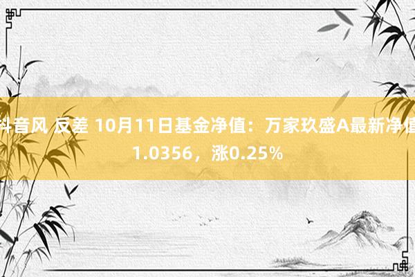 抖音风 反差 10月11日基金净值：万家玖盛A最新净值1.0356，涨0.25%