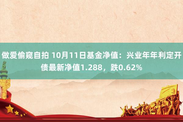 做爱偷窥自拍 10月11日基金净值：兴业年年利定开债最新净值1.288，跌0.62%