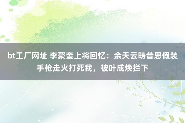 bt工厂网址 李聚奎上将回忆：余天云畴昔思假装手枪走火打死我，被叶成焕拦下