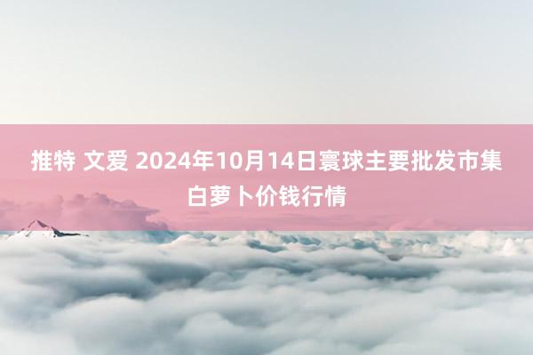 推特 文爱 2024年10月14日寰球主要批发市集白萝卜价钱行情