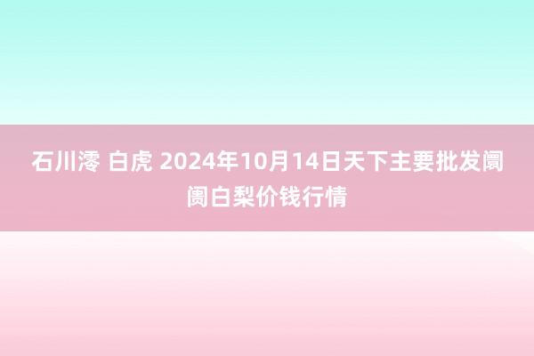 石川澪 白虎 2024年10月14日天下主要批发阛阓白梨价钱行情