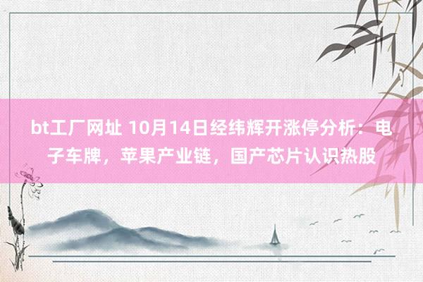 bt工厂网址 10月14日经纬辉开涨停分析：电子车牌，苹果产业链，国产芯片认识热股