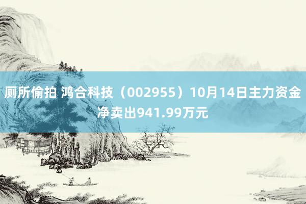 厕所偷拍 鸿合科技（002955）10月14日主力资金净卖出941.99万元