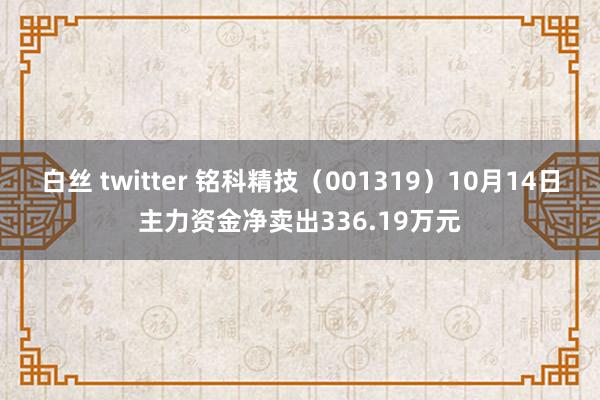 白丝 twitter 铭科精技（001319）10月14日主力资金净卖出336.19万元