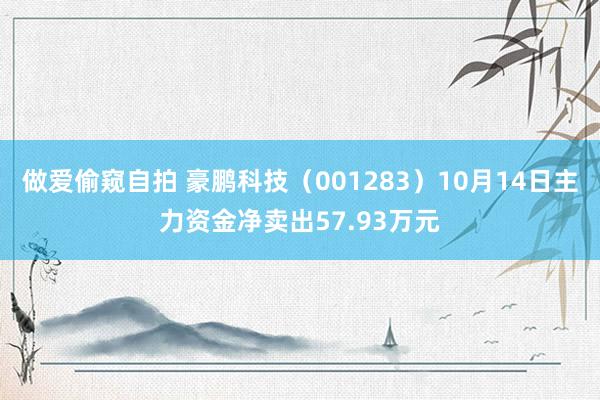 做爱偷窥自拍 豪鹏科技（001283）10月14日主力资金净卖出57.93万元