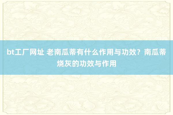 bt工厂网址 老南瓜蒂有什么作用与功效？南瓜蒂烧灰的功效与作用