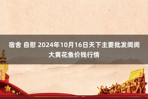 宿舍 自慰 2024年10月16日天下主要批发阛阓大黄花鱼价钱行情