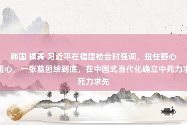 韩国 裸舞 习近平在福建检会时强调，扭住野心不粗心，一张蓝图绘到底，在中国式当代化确立中死力求先