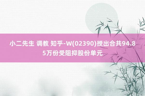 小二先生 调教 知乎-W(02390)授出合共94.85万份受阻抑股份单元