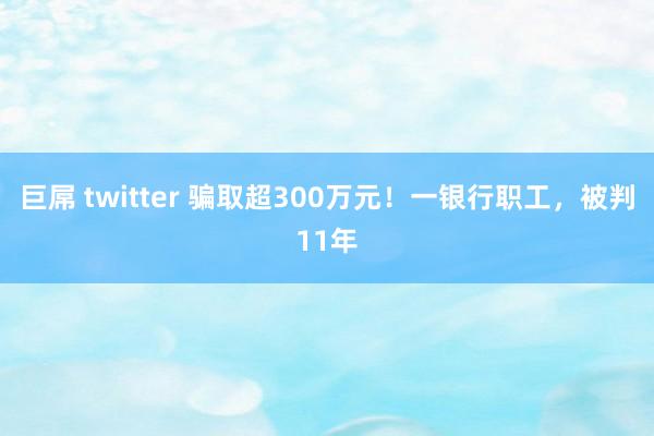 巨屌 twitter 骗取超300万元！一银行职工，被判11年