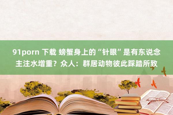 91porn 下载 螃蟹身上的“针眼”是有东说念主注水增重？众人：群居动物彼此踩踏所致