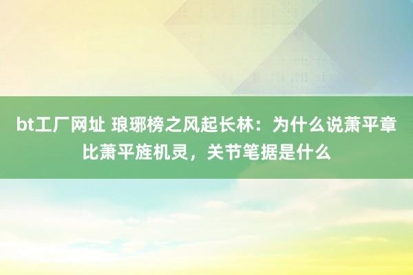 bt工厂网址 琅琊榜之风起长林：为什么说萧平章比萧平旌机灵，关节笔据是什么