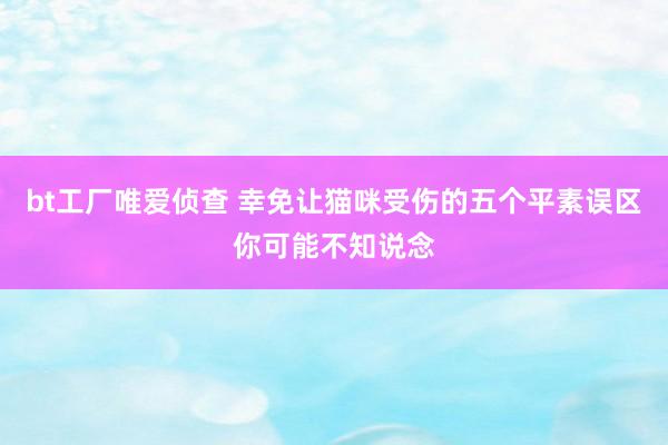 bt工厂唯爱侦查 幸免让猫咪受伤的五个平素误区你可能不知说念