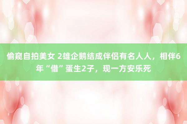 偷窥自拍美女 2雄企鹅结成伴侣有名人人，相伴6年“借”蛋生2子，现一方安乐死