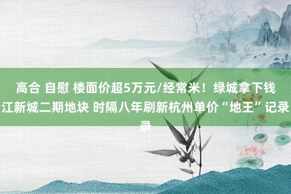 高合 自慰 楼面价超5万元/经常米！绿城拿下钱江新城二期地块 时隔八年刷新杭州单价“地王”记录