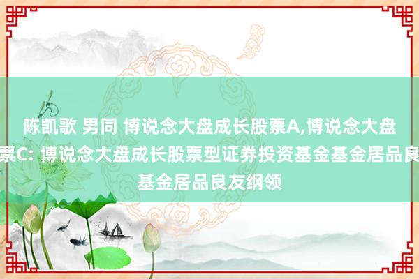 陈凯歌 男同 博说念大盘成长股票A，博说念大盘成长股票C: 博说念大盘成长股票型证券投资基金基金居品良友纲领