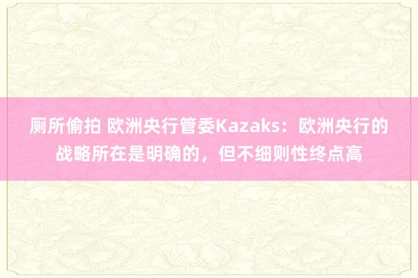 厕所偷拍 欧洲央行管委Kazaks：欧洲央行的战略所在是明确的，但不细则性终点高