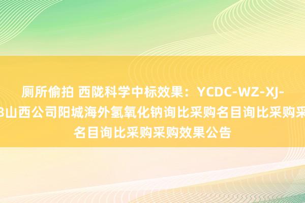 厕所偷拍 西陇科学中标效果：YCDC-WZ-XJ-202410108山西公司阳城海外氢氧化钠询比采购名目询比采购采购效果公告