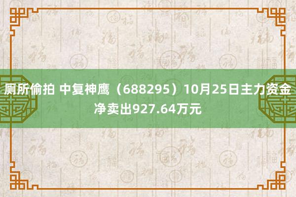 厕所偷拍 中复神鹰（688295）10月25日主力资金净卖出927.64万元