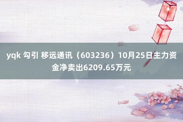 yqk 勾引 移远通讯（603236）10月25日主力资金净卖出6209.65万元