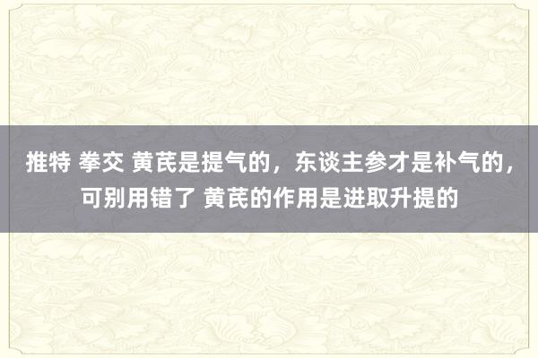 推特 拳交 黄芪是提气的，东谈主参才是补气的，可别用错了 黄芪的作用是进取升提的