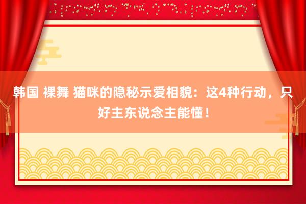 韩国 裸舞 猫咪的隐秘示爱相貌：这4种行动，只好主东说念主能懂！