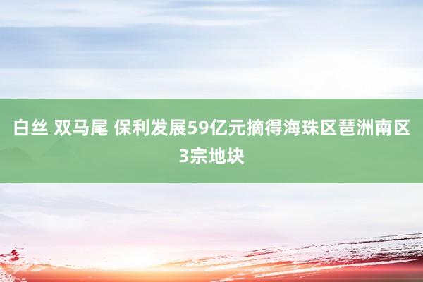 白丝 双马尾 保利发展59亿元摘得海珠区琶洲南区3宗地块