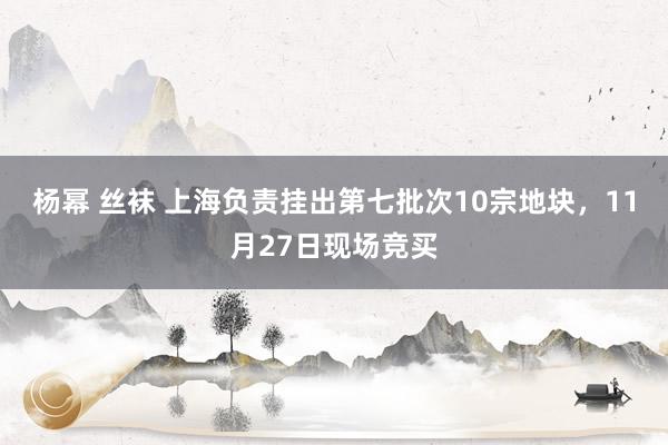 杨幂 丝袜 上海负责挂出第七批次10宗地块，11月27日现场竞买