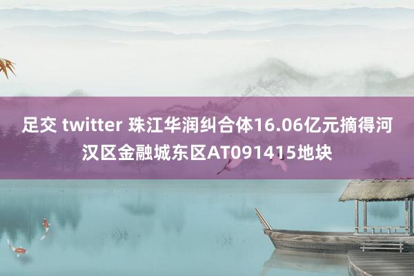 足交 twitter 珠江华润纠合体16.06亿元摘得河汉区金融城东区AT091415地块