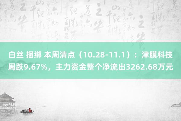 白丝 捆绑 本周清点（10.28-11.1）：津膜科技周跌9.67%，主力资金整个净流出3262.68万元