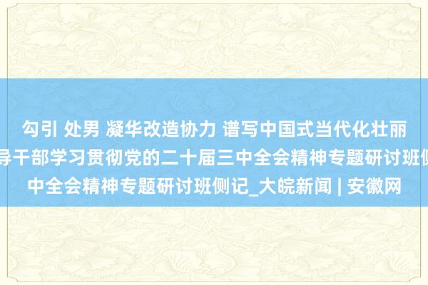 勾引 处男 凝华改造协力 谱写中国式当代化壮丽篇章——省部级主要指导干部学习贯彻党的二十届三中全会精神专题研讨班侧记_大皖新闻 | 安徽网